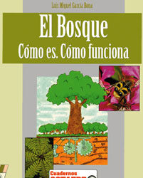 El bosque