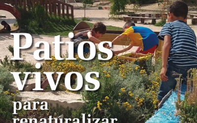 Patios vivos para renaturalizar la escuela